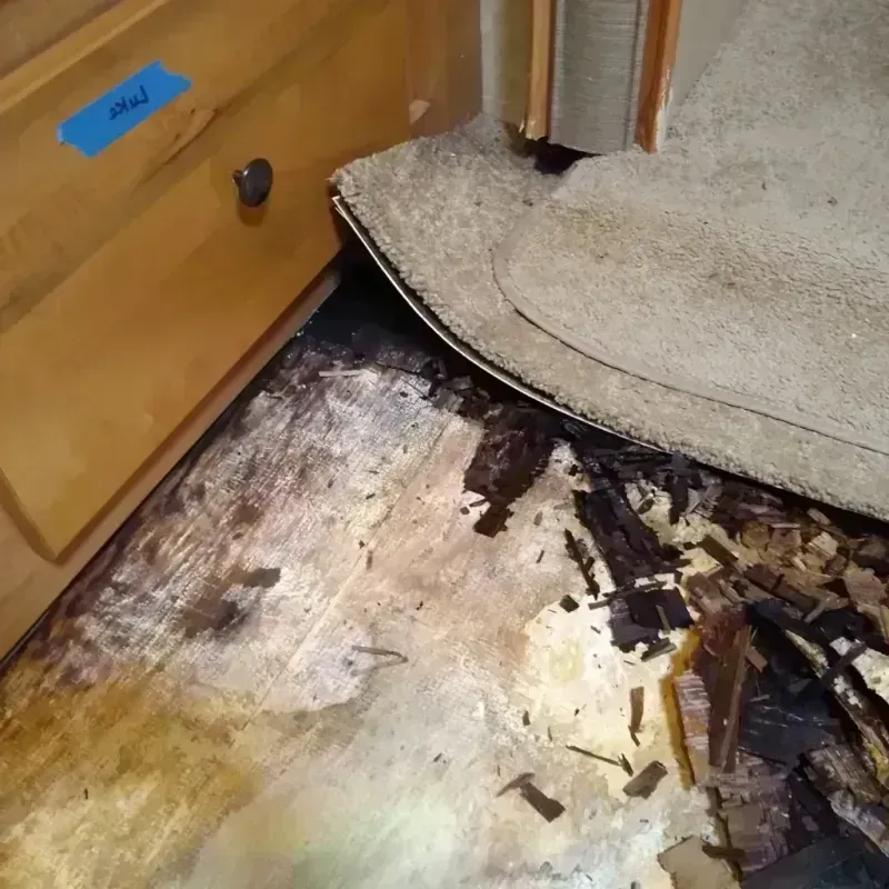 Best Wood Floor Water Damage Service in North Massapequa, NY